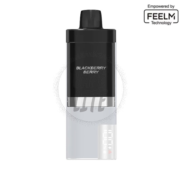 IGET EDGE LP15000 Pod - Blackberry Berry 28.5mg/ml